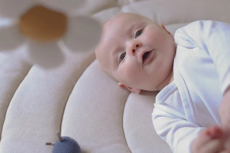 Vanilla Copenhagen tetra pelene